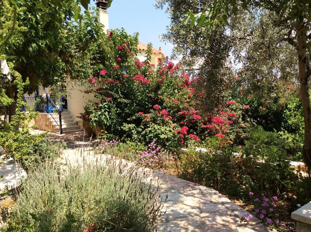 Angelica Villas Hotel Apartments Epidaurus Екстер'єр фото