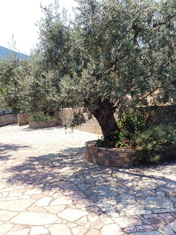 Angelica Villas Hotel Apartments Epidaurus Екстер'єр фото